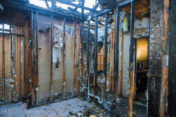 Professional Fire Damage Removal technician working in Bellevue, PA