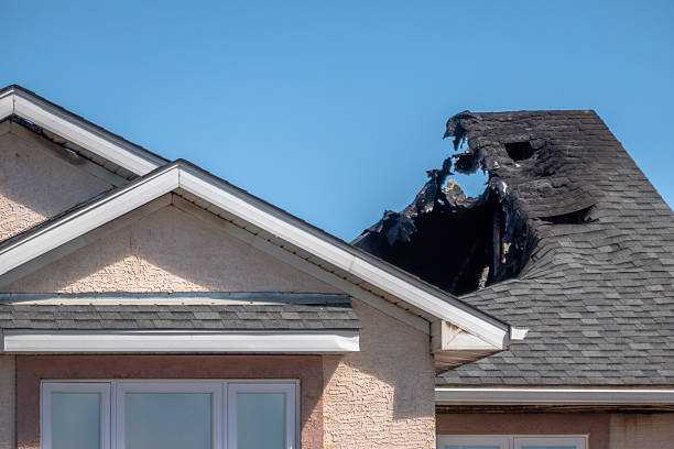 Top rated local Fire Damage Removal specialists in Bellevue, PA